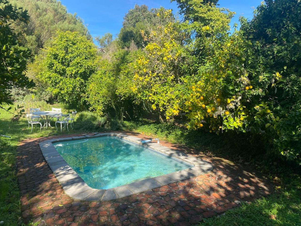 The Riverdeck Accommodation And Backpackers Knysna Esterno foto
